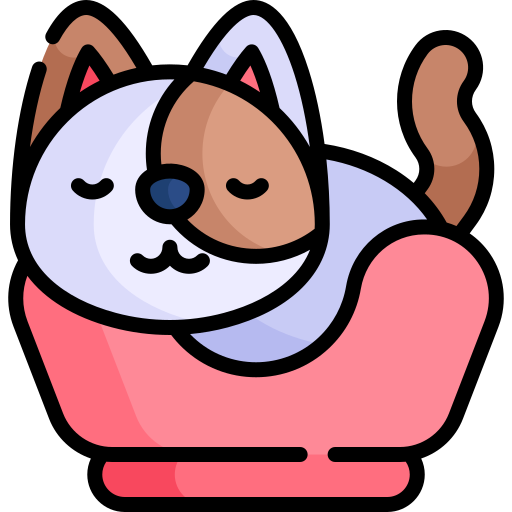 Dormir